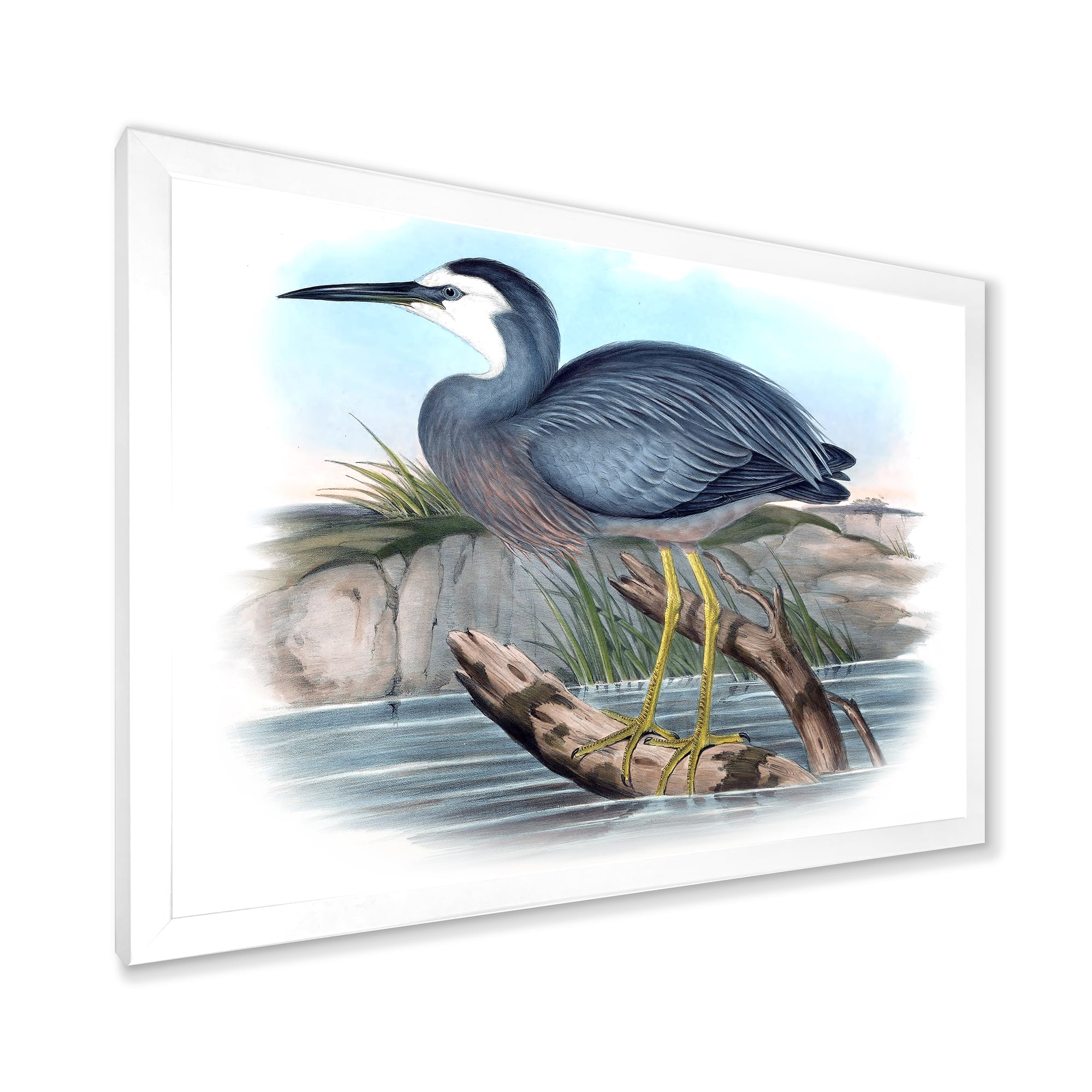 Designart 'Ancient Australian Birds II' Traditional Framed Art Print