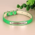thumbnail image 4 of Didog Personalised Small Dog Puppy Cat Collar Bling Glitter Soft Leather Engraved Name, 4 of 11