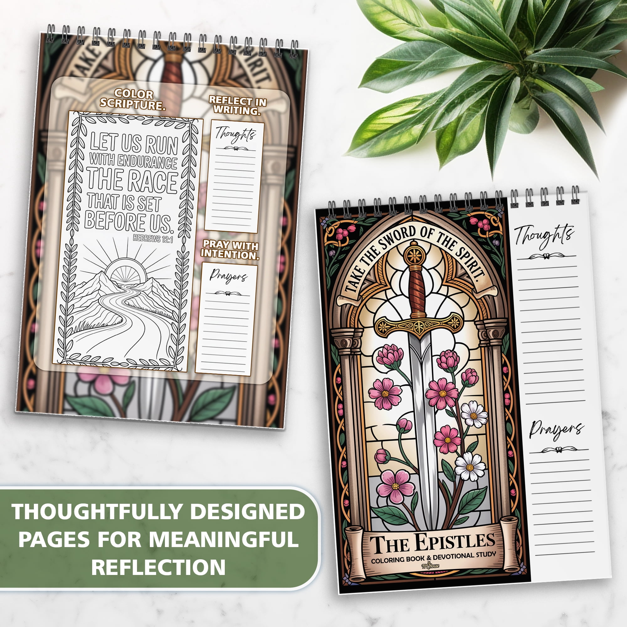 The Epistles Coloring Book for Adults, 30 Minimalist Scripture Art Pages with Reflection & Prayer Space, Spiral Bound, A4 or A5 Softcover or Wood Cover