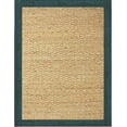Chesapeake Seagrass Area Rug with Teal border (40" X 60")