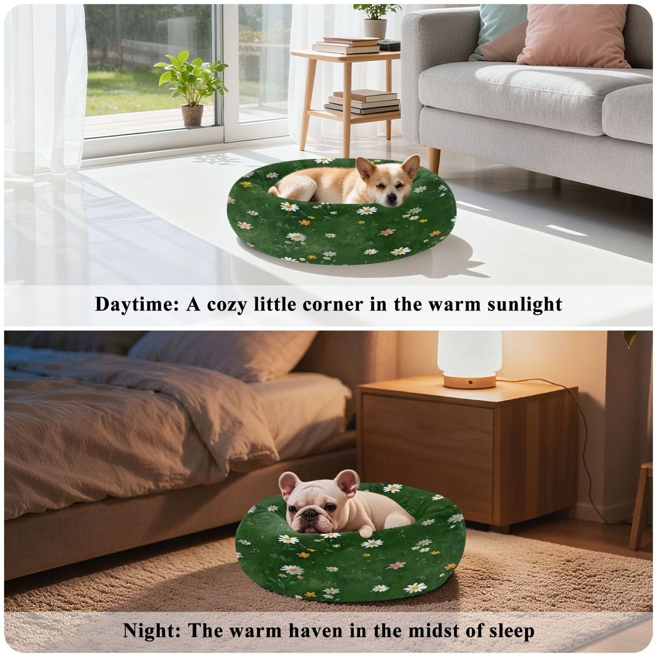 Iauyy Pet Couch Donut Cat Bed for Indoor Cats/Small Dogs Washable & Machine with Non-slip Bottom Calming Cat Furniture, All Kinds Of Daisies (M)