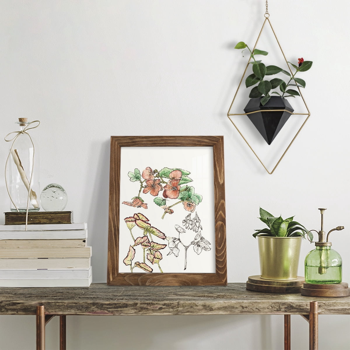 Begonia Study -Framed Print w/glass-Walnut