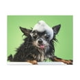 thumbnail image 2 of Funny Chihuahua Bath Canvas Wall Art for Home Decor Ready-to-Hang, 2 of 18