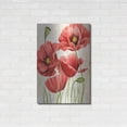 thumbnail image 3 of Luxe Metal Art 'Poised Poppy I' by Grace Popp, Metal Wall Art, 24"x36", 3 of 9