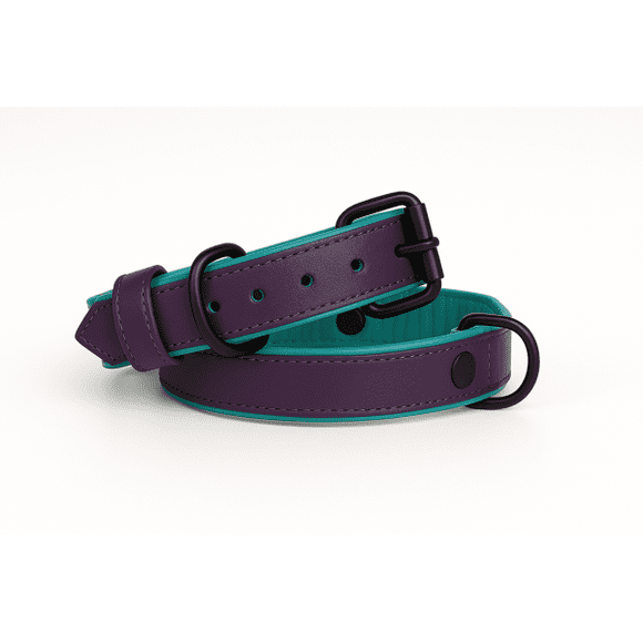 Dog Collar, Handmade Genuine Leather Dog Collar – Purple with Teal Inner Liner, Adjustable Buckle - Buddies Collars