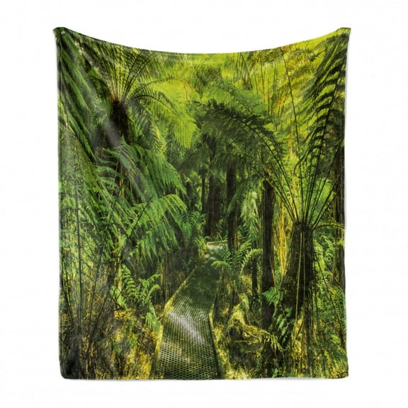 Rainforest Soft Flannel Fleece Throw Blanket, Rainforest Walkway Board Ferns Wet Rural Spring Traveling Destination Nature, Cozy Plush for Indoor and Outdoor Use, 60" x 80", Green, by Ambesonne