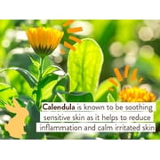 Babo Botanicals - Miracle Moisturizing Cream