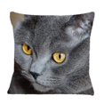 thumbnail image 1 of RYLABLUE Housse de Coussin de Noël Chat Drôle Mignon 20x20 Pouces, 1 of 1