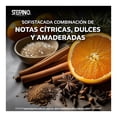 thumbnail image 3 of Desodorante Hombre Stefano Black Fire Antitranspirante en Barra 45 g, 3 of 5