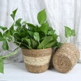 thumbnail image 3 of Seagrass Round Flower Pot Basket Planter Seagrass Planter Basket Woven Straw Pot Garden Plant Pot Container Wicker Rattan Vase Organizer Storage Bin Trash Can for Indoor or Outdoor, 3 of 4