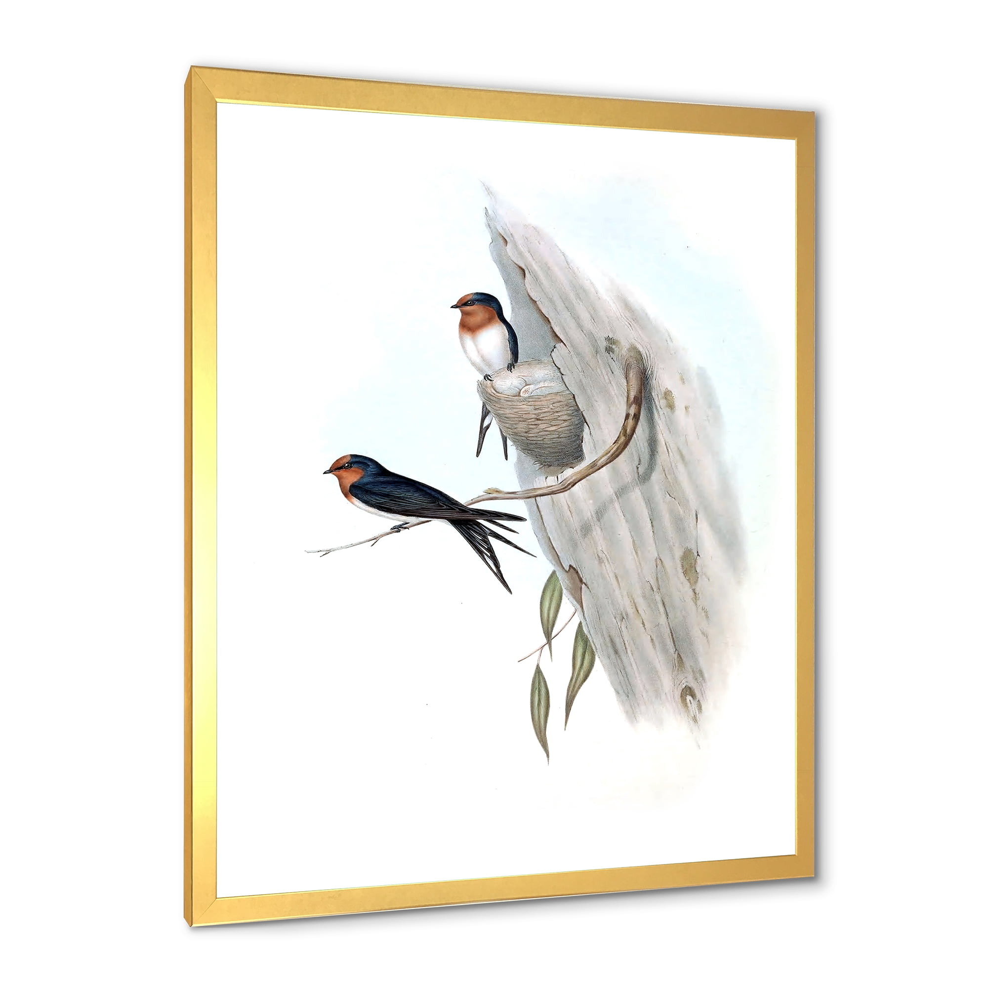 Designart 'Ancient Australian Bird Illustrations II' Traditional Framed Art Print