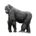Silverback Gorilla White Wall Decal Sticker by Wallmonkeys Vinyl Peel