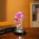 thumbnail image 3 of Regalo creativo de San Valentín, cubierta de cristal rosa, luz de noche, decoración, diseño de escena, iluminación, cubierta de cristal de flor eterna, 3 of 5