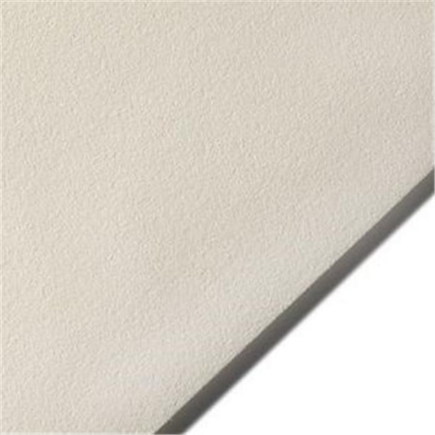 Arches A77-RLW2640BU10 26 x 40 Rives Bfk Light Weight Printmaking Paper ...