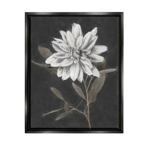 Stupell Industries Modern White Dahlia Blossom Sprout Painting Jet Black Floating Framed Canvas Print Wall Art, Design by Nina Blue