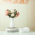 thumbnail image 6 of HBBKVI Spring Plastic Vase for Pampas Flower Vase Decorative Vase Vase for Flowers Modern Vase for Home Decor Bouquet Shelf Weddings Decorative Vase for Flower Arrangement, 6 of 8