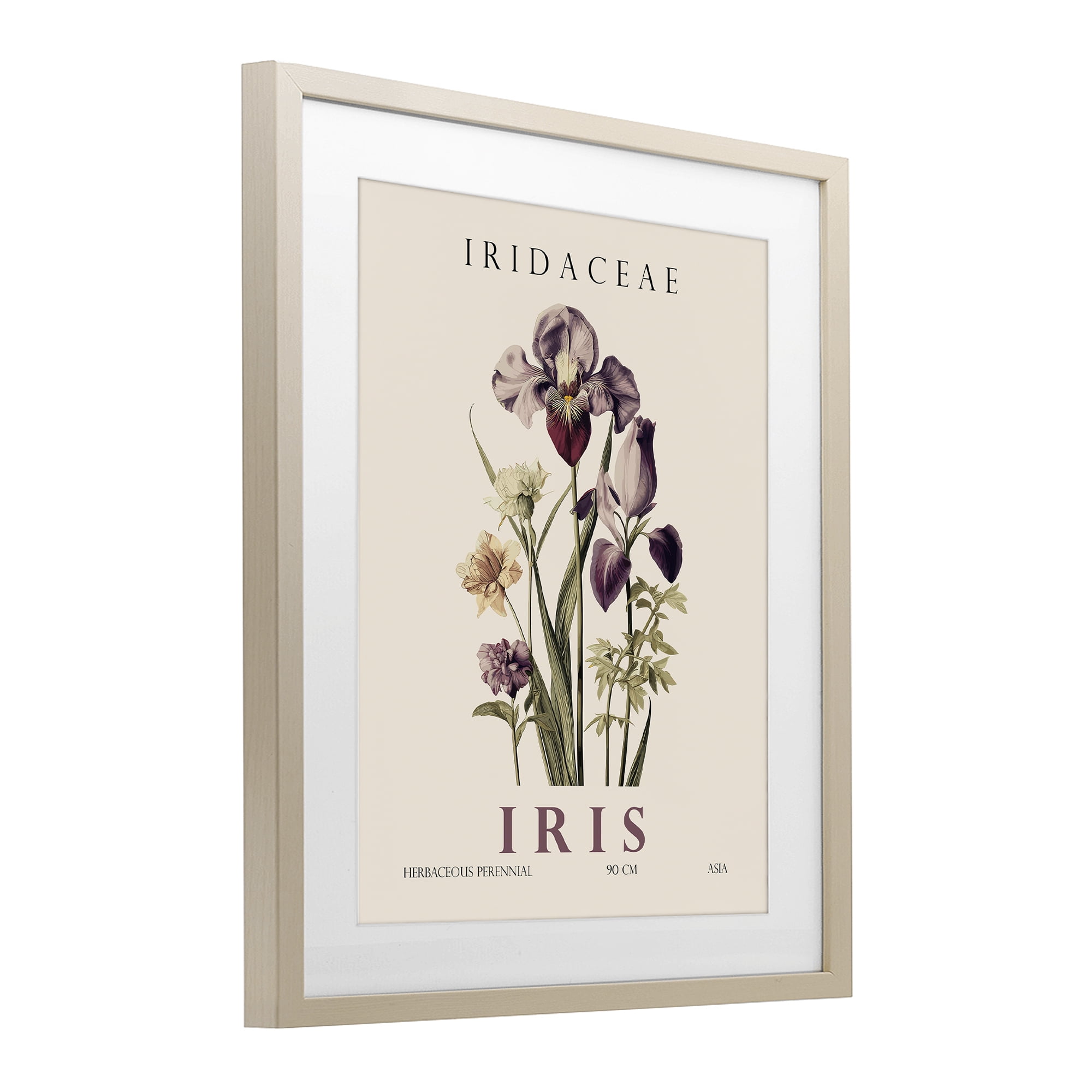 Stupell Industries Natural Iris Bundle Birch Framed Print Under Glass, design by Christopher Giampietro
