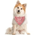 thumbnail image 2 of It''s My Gotcha Day Dog Bandana, Pink Dog Bandana, Pet Dog Scarf Accessories, Pet Dog Triangle Scarf, Funny Cute Dog Bandana, Dog Bandana for Small Medium Large Dogs, Dog Bandana Pet Scarf (E19), 2 of 4