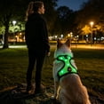 thumbnail image 5 of Dog Reflective Harness Vest for Night Walk, Light Up Safety Vest for Small Medium Breed, Adjustable Straps for Secure Fit, Breathable Mesh Fabric, 5 of 6