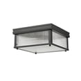 thumbnail image 5 of Z-Lite 2 Light Flush Mount, 5 of 8