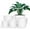 White, variant on Lanccona Plastic Planter with Saucers,8/7/6/5.5/5 Inch Flower Pot Indoor Modern Decorative Plastic Pots for Plants with Drainage Hole and Tray for All House Plants, Flowers, and Cactus, Black