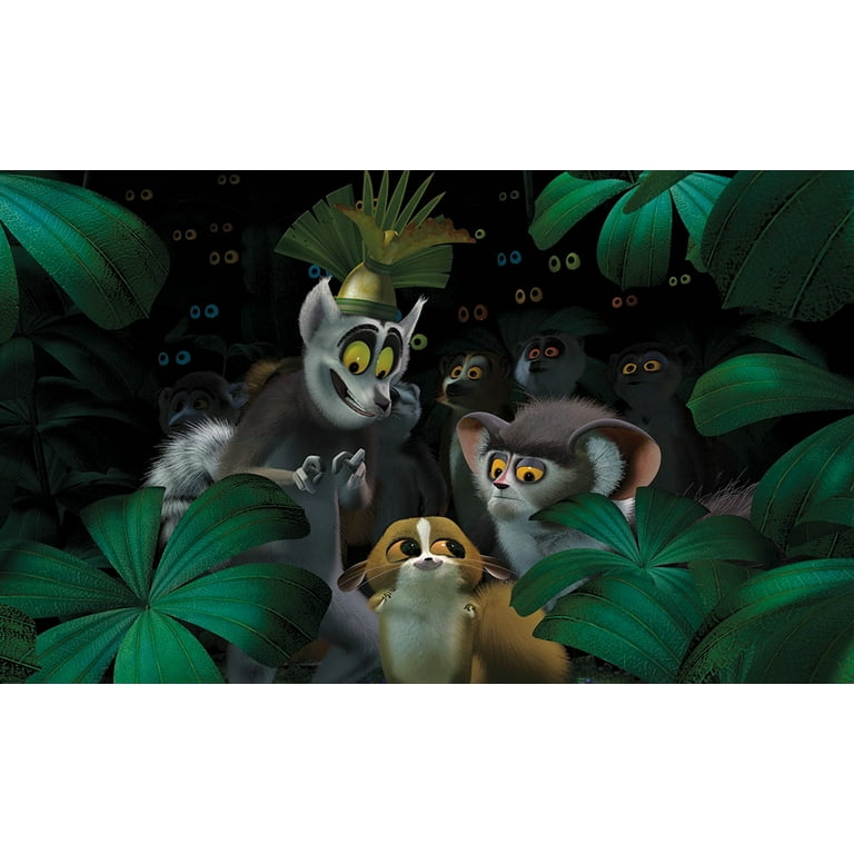 Madagascar (DVD) - Walmart.com