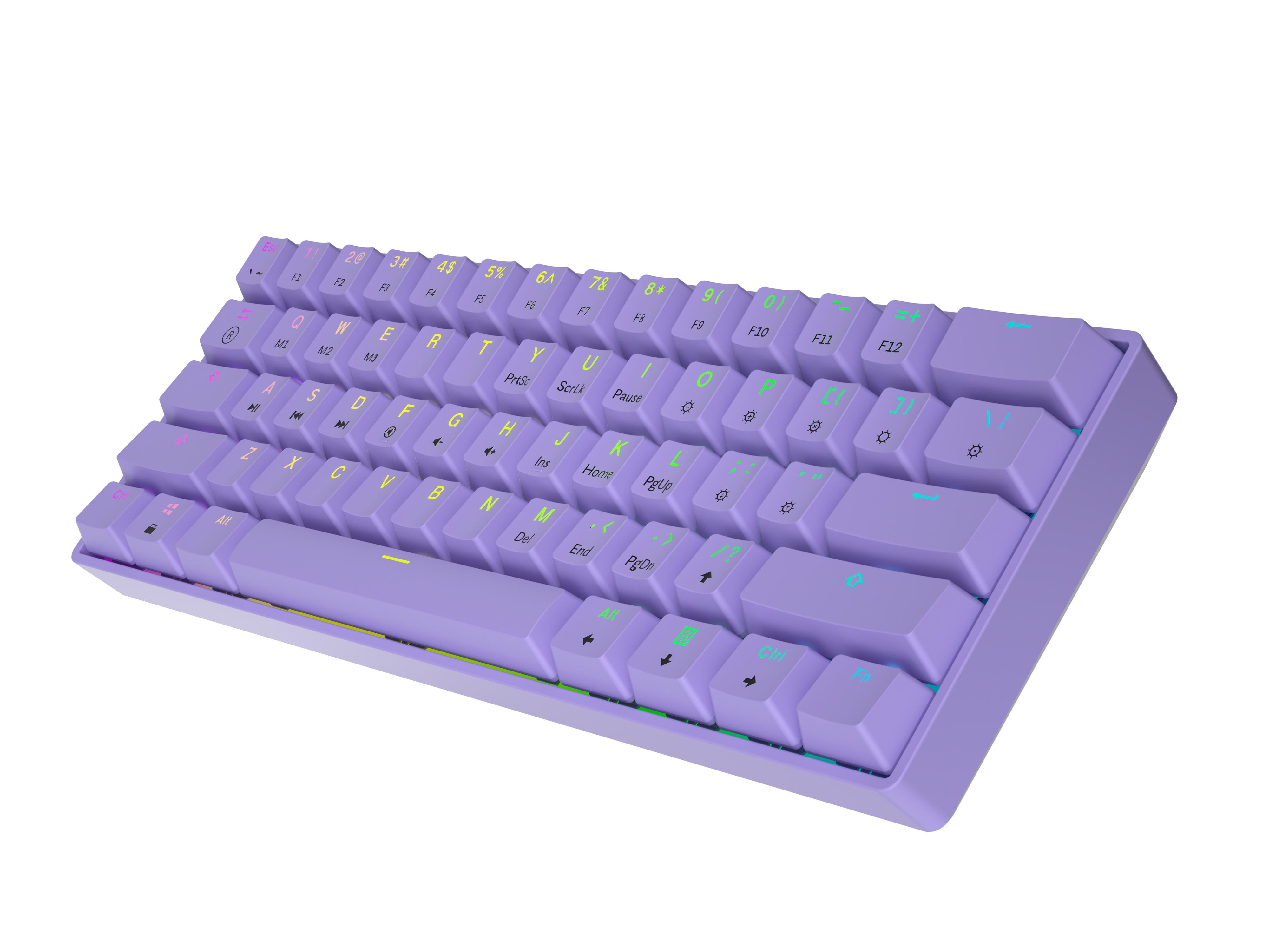 HK GAMING GK61 Mechanical Gaming Keyboard - 61 Keys Multi Color RGB Illuminated LED Backlit Wired Programmable for PC/Mac Gamer ( Gateron Optical Brown , Lavender )