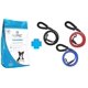 thumbnail image 1 of Paquete Nupec Cachorro 15 kg + 1 Correa de Paseo 1.60 mts Fancy Pets, 1 of 4