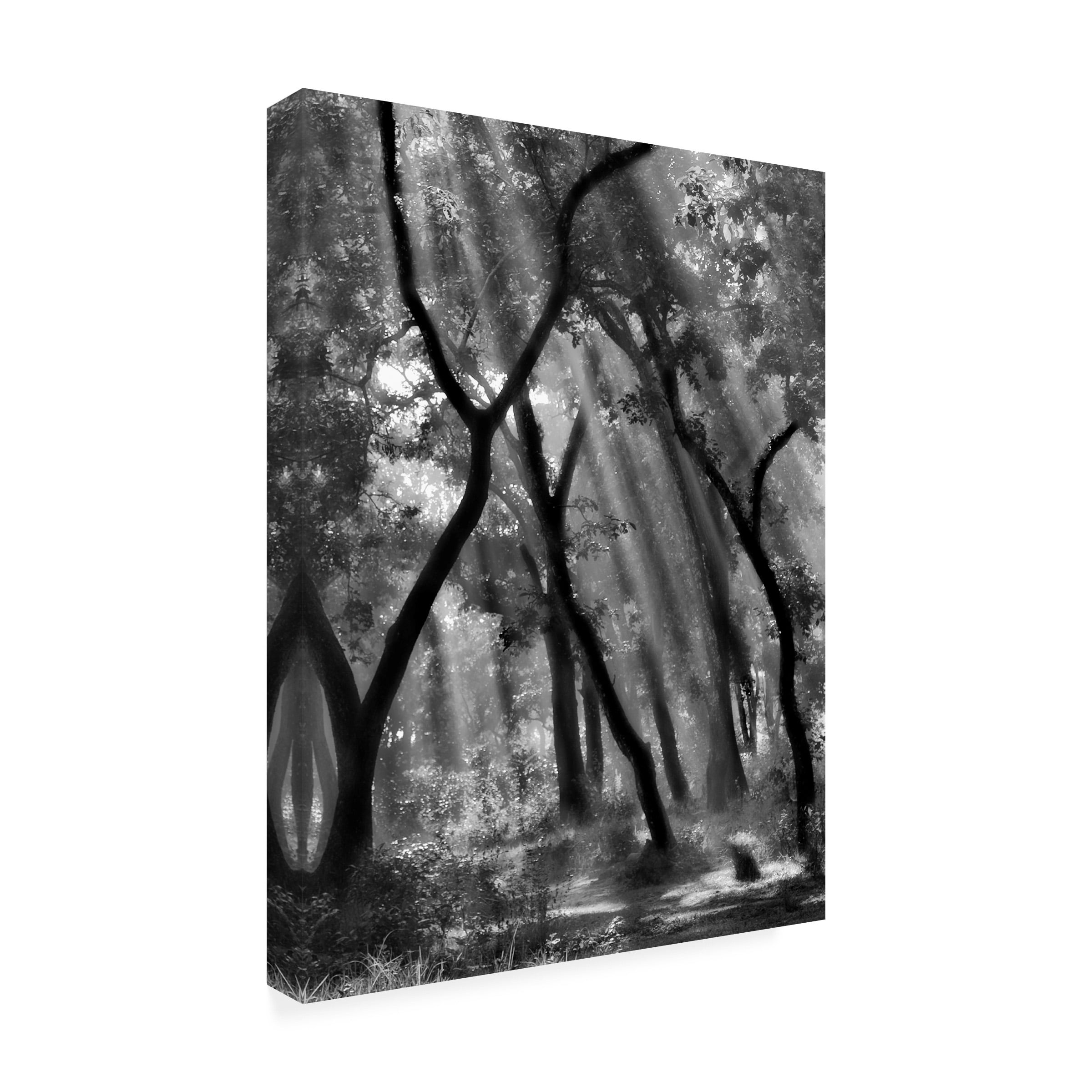 Yvette Depaepe 'Enchanted Forest ' Canvas Art