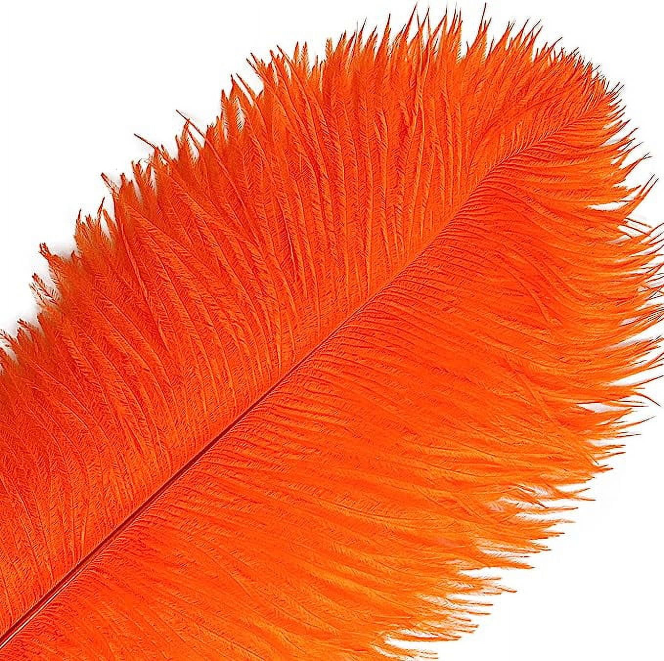 Zhuge Orange Ostrich Feathers 12pcs Large Natural Bulk 12-14Inch 30cm-35cm for Wedding Party Centerpieces Easter Gatsby and Home Decoration Feathers