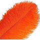 thumbnail image 3 of XmhyTop 12 plumas de avestruz verdes naturales a granel de 16 a 18 pulgadas, 40 a 45 cm, para centros de mesa de bodas, fiestas, Pascuas, Gatsby y decoración del hogar, plumas de avestruz, 3 of 5