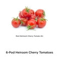 thumbnail image 2 of AeroGarden Red Heirloom Cherry Tomato Seed Pod Kit, 6-Pod, 2 of 6