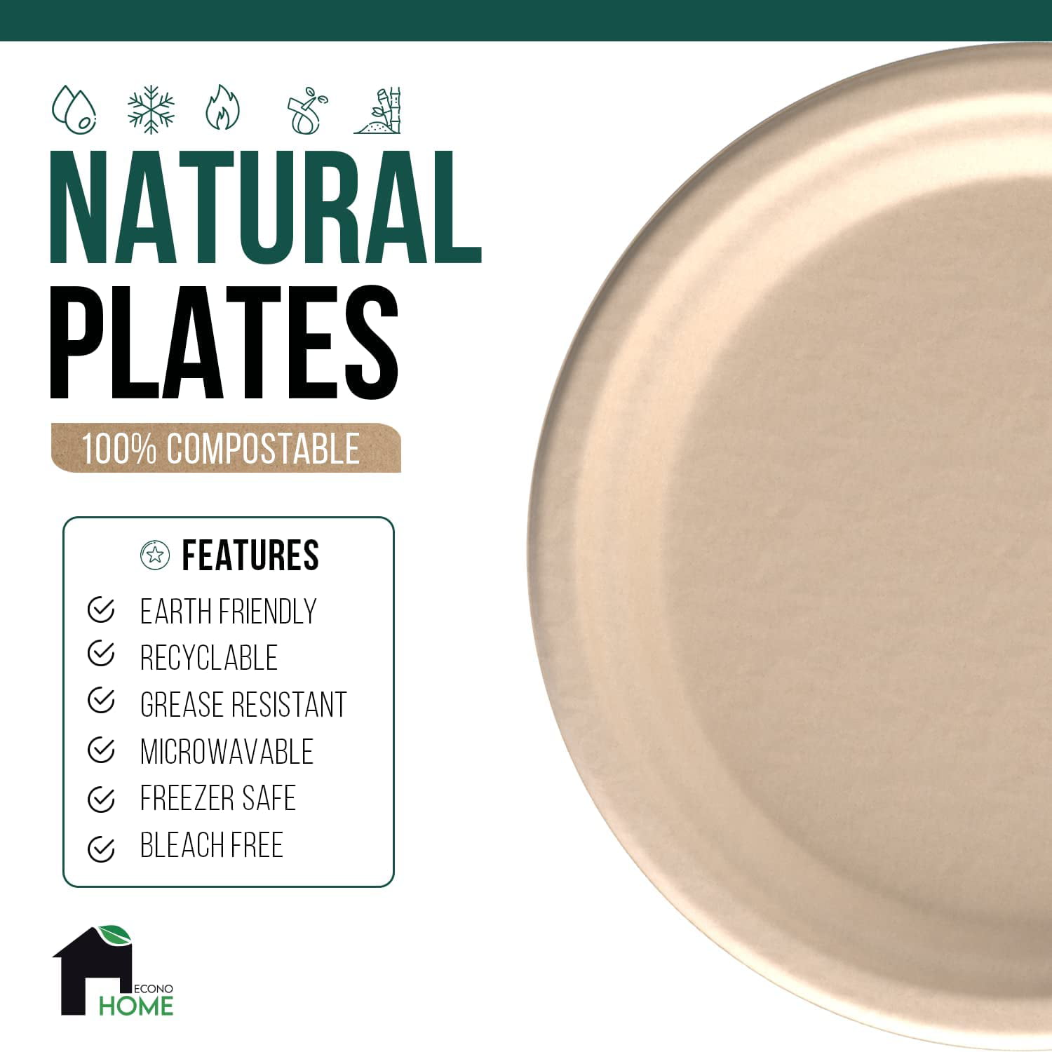  Moretoes 125 Pack Compostable 6 Inch Paper Plates