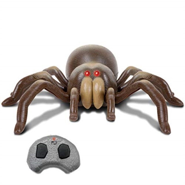 discovery tarantula toy