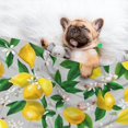thumbnail image 3 of JUNZAN Waterproof Pet Blanket Dog Blankets, Lemon Seamless Pattern Oil Painting Effect Pattern Printing Super Soft Warm,Urine Proof Washable Pet Blanket, 3 of 7