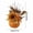 Orange, variant on Fall Pumpkin Centerpiece Artificial Floral Arrangement,9.8 Inch Faux Cream Sunflower with Maple Leaves Berries,Foam Pumpkin Tabletop Ornament for Thanksgiving Halloween Home Party‑White