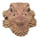 thumbnail image 1 of Máscara de lagarto espinoso del desierto Máscara de cabeza de animal Disfraz de Halloween para adultos, 1 of 4