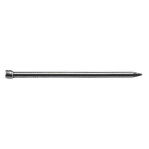 Hillman Fasteners 461373 2.5 in. x 8D- Bright Finish Nails.