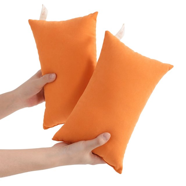 HAOAN Ntbay 2 Pack Microfiber Soft Tiny Pillows Machine Washable Travel Pillows 11” x 7” Light Gray