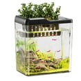 thumbnail image 1 of Boîte d'Alimentation pour Tortue de Salon, Ménage, Transparente, Petite, Bureau, de Bureau, 1 of 7
