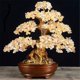 thumbnail image 3 of Bonsái de árbol del dinero con citrino y amatista: adorno for la fortuna y la suerte, ideal for enfriadores de vino en casa., 3 of 3