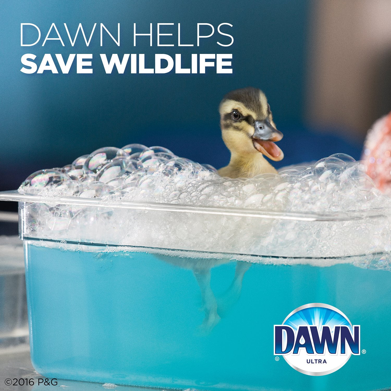 Dawn Ultra Concentrated Dish Detergent, Original Scent (90 oz. Bottle)