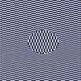 thumbnail image 1 of Ahgly Tapis d'Intérieur Lavable en Machine Carré Bleu Nuit, 6 Pieds Carré, 1 of 7