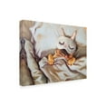 thumbnail image 2 of Trademark Fine Art 'Sleeping Beauty Face Mask' Canvas Art by Lucia Heffernan, 2 of 3