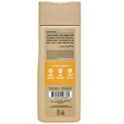 Dr. Squatch Mens Refreshing Shampoo, Hydrating Natural Sulfate Free Shampoo for Men, Summer Citrus, 11 fl Oz
