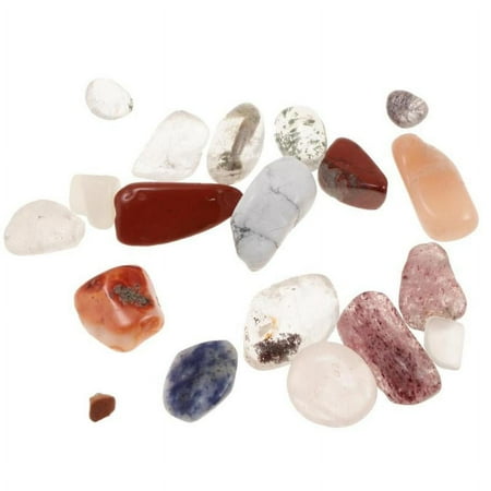 Rock & Mineral Collection Geology Science Earth Science Toy - Mixed