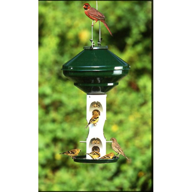 Vari-Crafts  contaminated Seed Bird Feeder - Walmart.com - Walmart.com