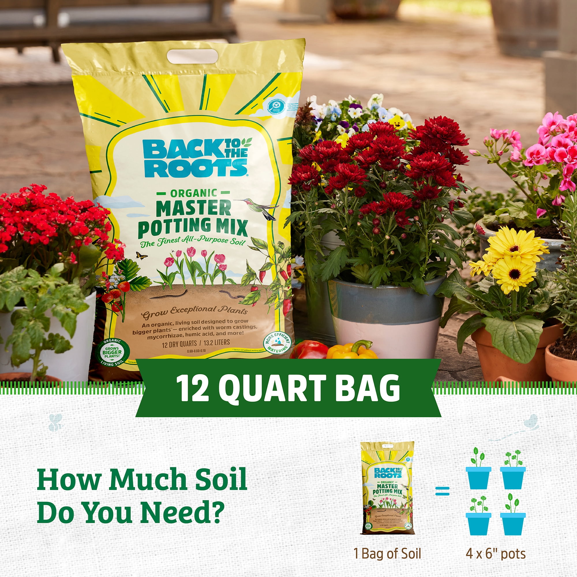 Back to the Roots Organic Master Potting Soil Mix, 12 Quarts