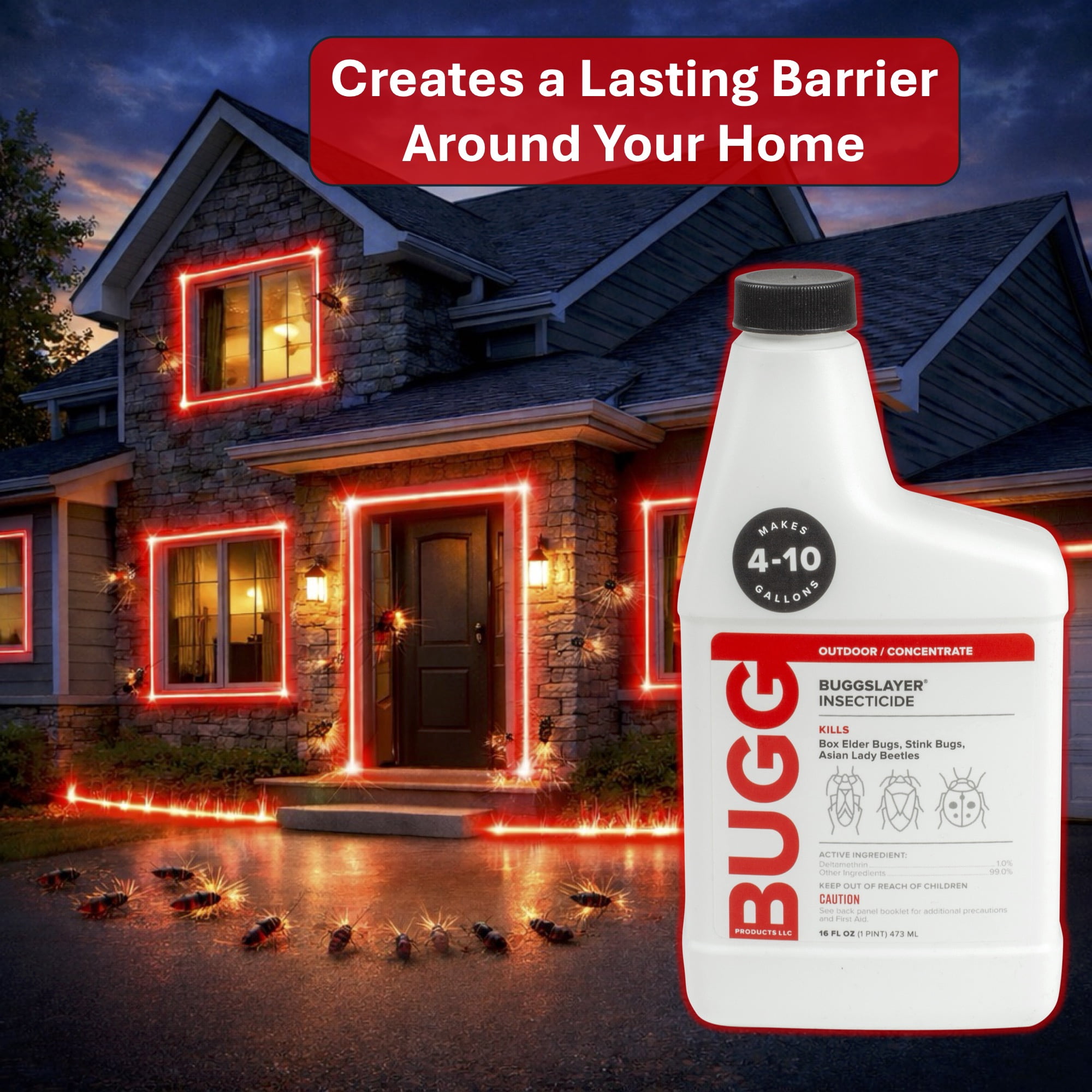 BUGGSLAYER Insecticide - Concentrate - Outdoor Box Elder Bugs, Stink Bugs, Asian Lady Beetles - 16 oz Bottle