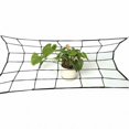 thumbnail image 2 of GLFILL Elastic Trellis Net w/Hooks Plant Support Netting for Grow Tent 4 Sizes 100 x 100cm, 2 of 9